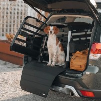 Thule buferio apsauga standartinė