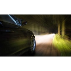 Philips lemputės 55W 12V H7 Philips X-treme Vision + 150%